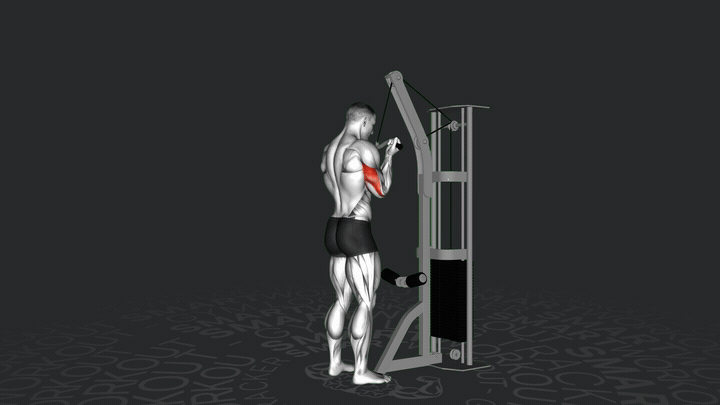 Trizeps-Kabeldrücken im Untergriff