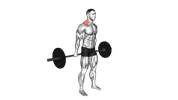Barbell Shrug Behind The Back