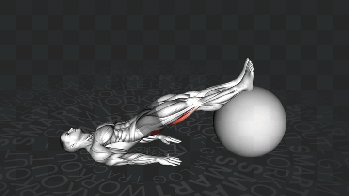 Curling delle gambe con fitball