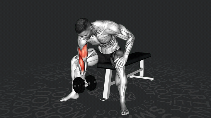 Концентрированный подъем гантели на бицепс