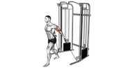 Bayesian Cable Curl (Face Away)