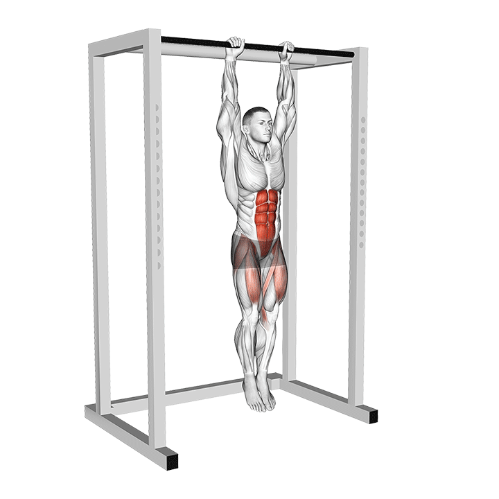 Hanging Straight Leg Raise