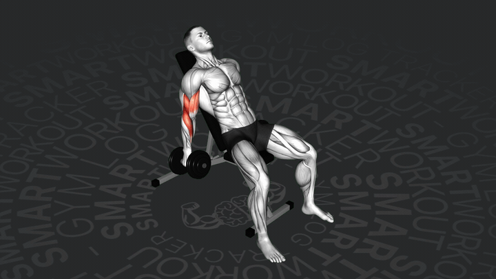 Подъем гантелей на наклонной скамье с супинированным хватом поочередно