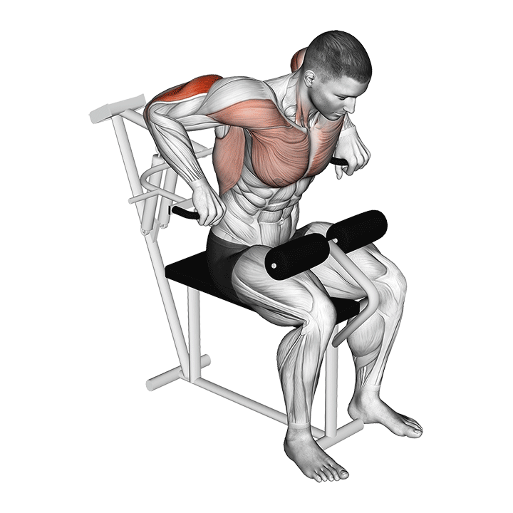 Machine Triceps Pushdown
