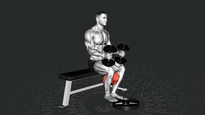 Sollevamento del Polpaccio Seduto con Peso