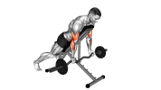 Curl Araignée avec Barre EZ