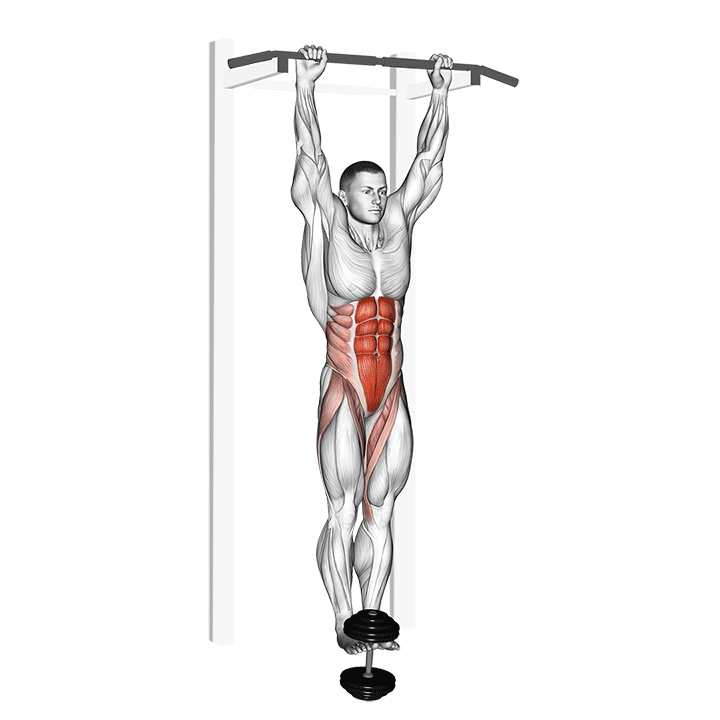 Weighted Hanging Leg Raise