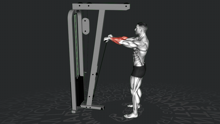 Kabel Stehendes Handgelenkrollen