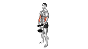 Single Dumbbell Curl