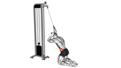 Cable Kneeling Side Crunch