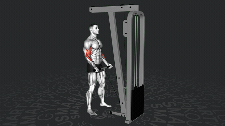 Сгибание рук на бицепс с нижнего блока