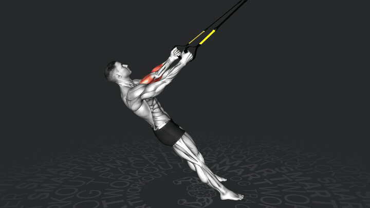 TRX сгибание рук на бицепс