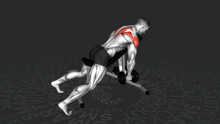 Dumbbell Incline Rear Lateral T Raise