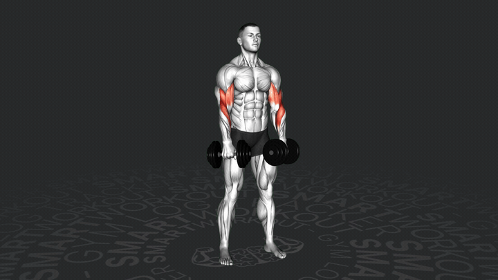 Kurzhantel Bizeps Reverse Curl