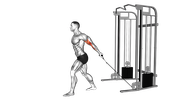 Bayesian Cable Curl