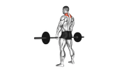 Barbell Shoulder Shrug