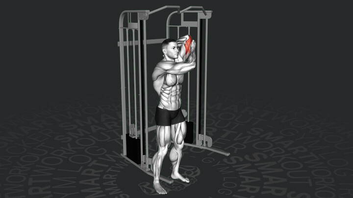 Einarmige Katana-Trizeps-Überkopfstreckung