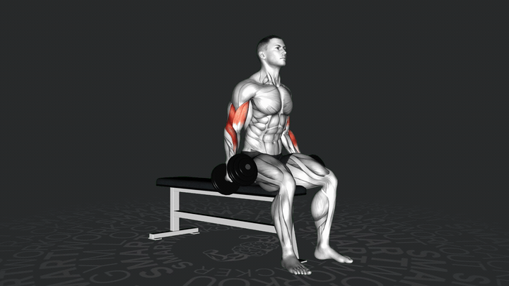Сгибания рук с гантелями сидя