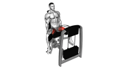 Adduction des hanches assis