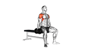 Dumbbell Seated Lateral Raise