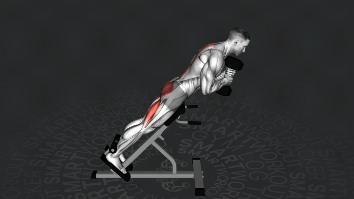 Estensione della Schiena con Manubrio