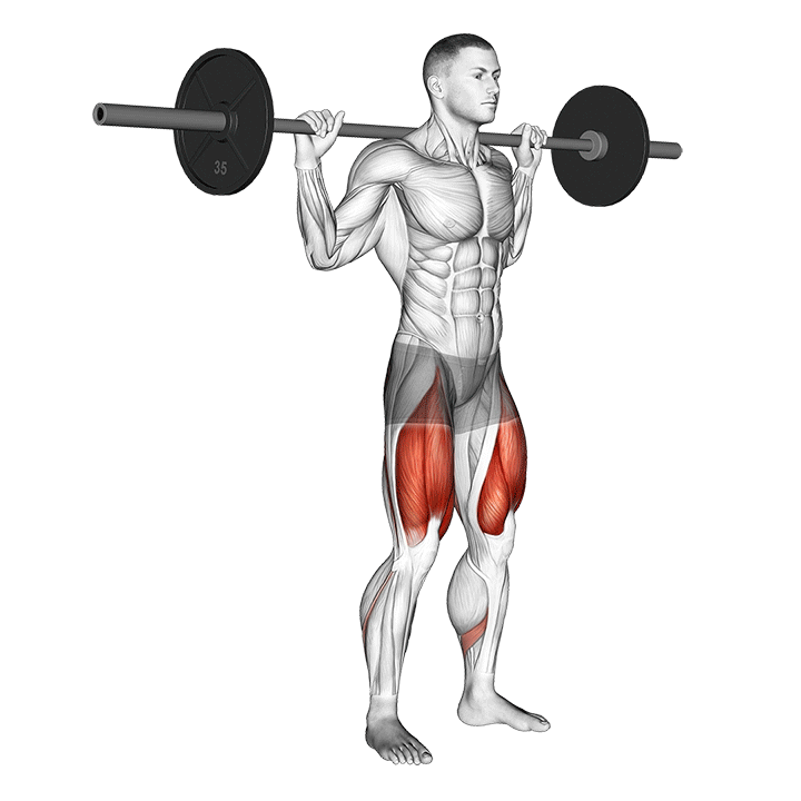 Half Squat