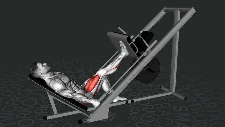 Pressa a Gamba Singola